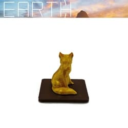 Earth: Segnalino giocatore attivo Volpe